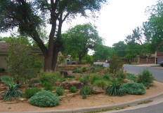 Lubbock landscape paradise