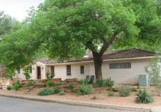 lubbock landscape paradise