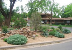 lubbock landscape paradise