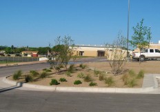 lubbock landscaper