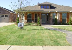 lubbock landscaper