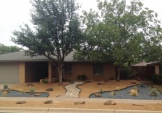 lubbock drought tolerant landscaping