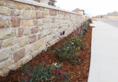 lubbock landscaping