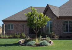 lubbock landscaping and irrigation