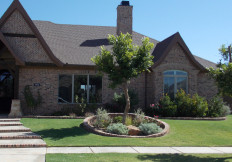 lubbock landscape design