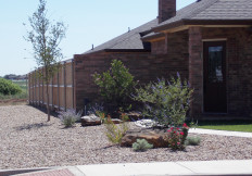 lubbock xeriscape