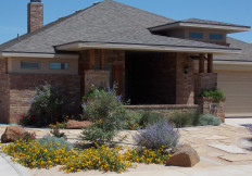 lubbock drought tolerant landscape