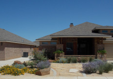 lubbock xeriscape