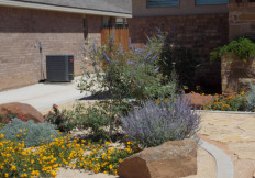 lubbock drought tolerant landscape and hardscape